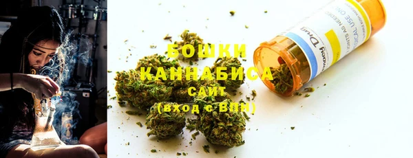 индика Лагань