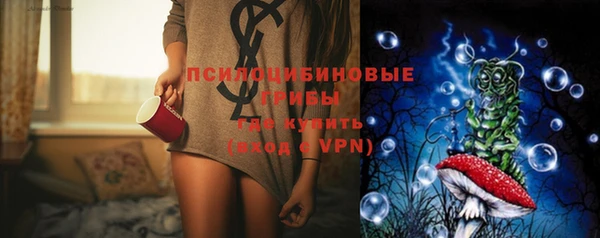 индика Лагань