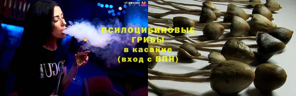 ECSTASY Кострома