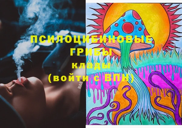 таблы Ладушкин