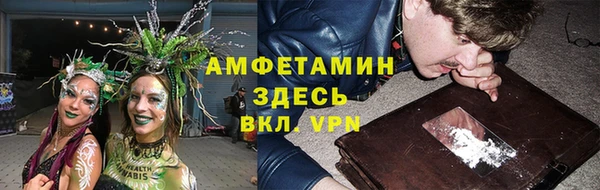 индика Лагань