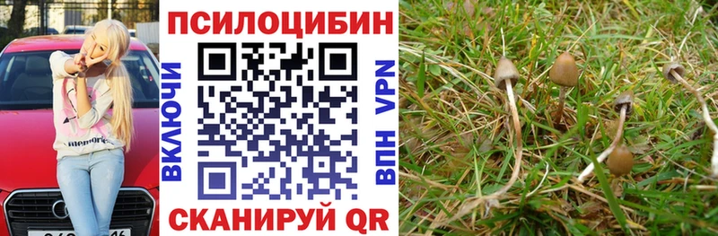 Псилоцибиновые грибы мухоморы  закладка  Тейково 