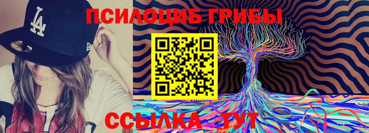 Галлюциногенные грибы Psilocybe  Псилоцибиновые грибы GOLDEN TEACHER  Тейково 